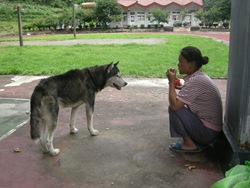 100620家常慶典、苦中依然作樂-梅山嬰兒祭_img_14
