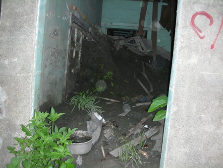 雜草、積水、廢土及廢棄物，水災當時的倉皇不安全都原封不動地保留在空屋內，也形成病媒孳生的溫床，對鄰近地區的衛生造成嚴重的威脅。(一)