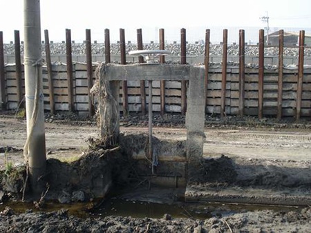 5090122f-89fb-4d1b-a8c4-bcc6ed849b53_500#500