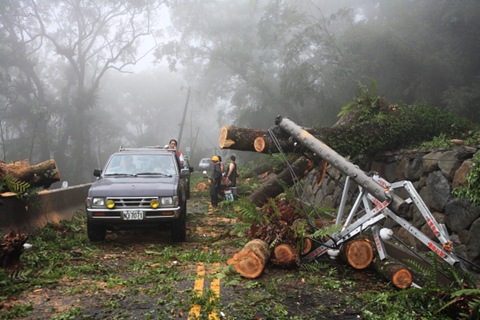 嘉129線5K處有多株香樟被強風連根拔起，並壓斷電線桿