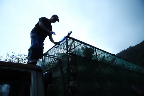 一台滿載鴨子的卡車被困在12.8K一帶，已在傍晚6點半左右搶通該部分路段，讓卡車、司機與鴨子們共同脫困