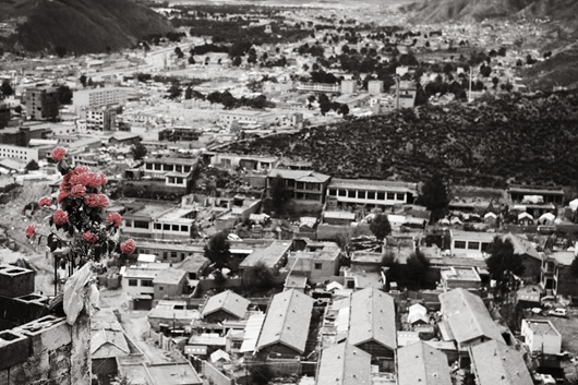 20 一束紅玫瑰被放置在結古寺旁的山坡上，祝福玉樹能儘速完成重建，罹難者家屬也能早日走出傷痛