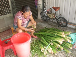 製作芋酸的芋頭梗