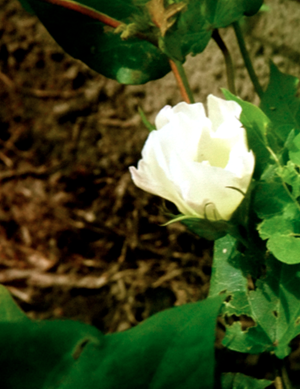 螢幕快照 2012-02-18 下午3.05.06