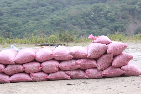 1梅包 多少家庭生計靠汝而行