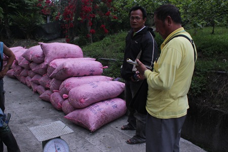 IMG_6313一把磅秤、一本收據是幫中盤代收梅包的必備