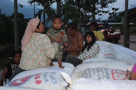 IMG_6321梅包上打滾的孩子