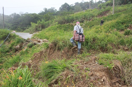 294692_238021856320458_823567291_n