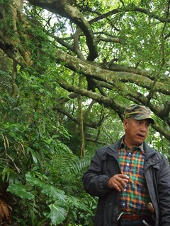 PB184917巒山部落的Aziman，背後的樹就是號稱會走路的白榕