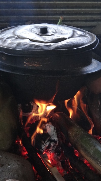 Toonatamu™∫∂«≤Œ¥ººz