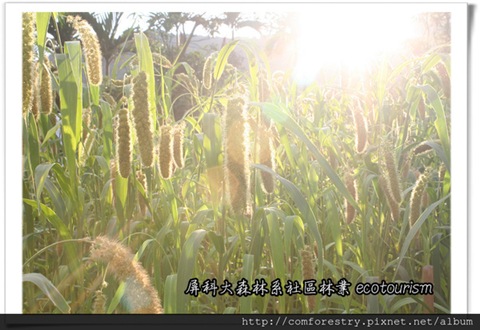 1364562141-619581993_n